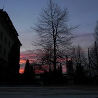DSCN2138.jpg