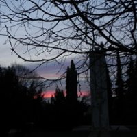 DSCN2142.jpg